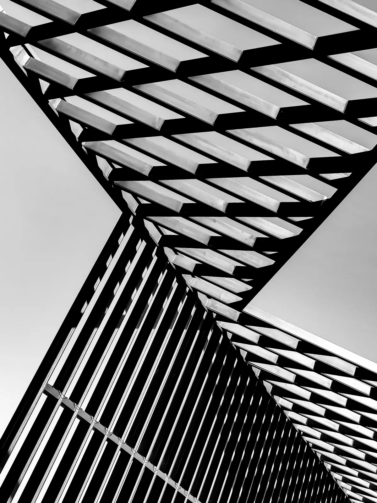 A staircase rising in black and white